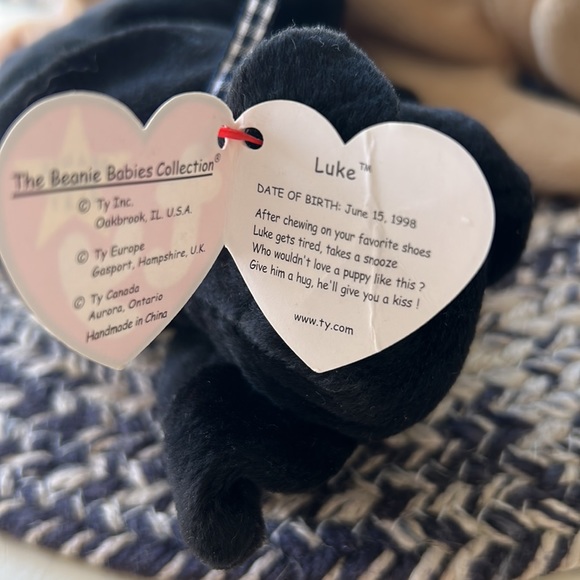 Rare TY beanie baby Luke black dog with tag errors - Picture 4 of 4